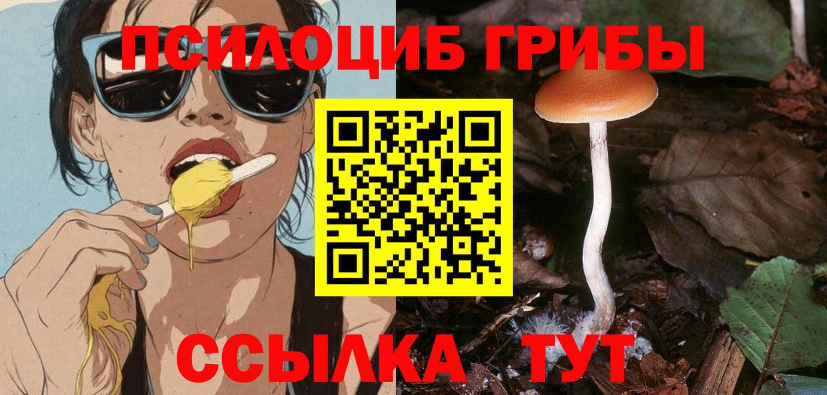 Псилоцибиновые грибы Magic Shrooms Ачхой-Мартан