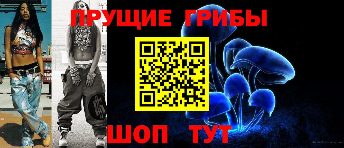 Ачхой-Мартан  Галлюциногенные грибы Psilocybine cubensis  Псилоцибиновые грибы Cubensis  Вход с VPN 